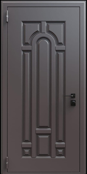 Входная термодверь с металлофиленкой и порошковым окрашиванием RAL 8019 (тип №13)
